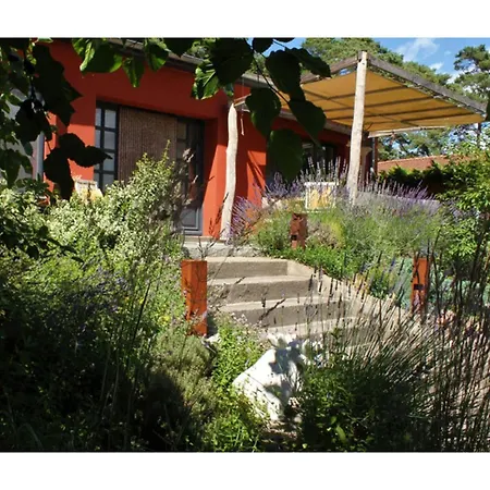 Strandbusch Lubmin