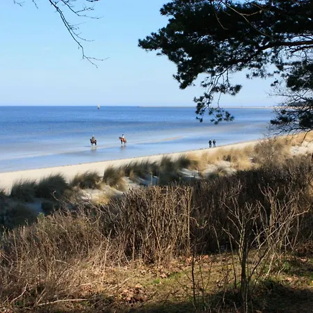 Strandbusch Apartment